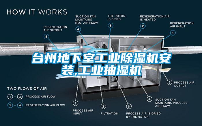 台州地下室工業草莓视频下载网址安裝,工業抽濕機