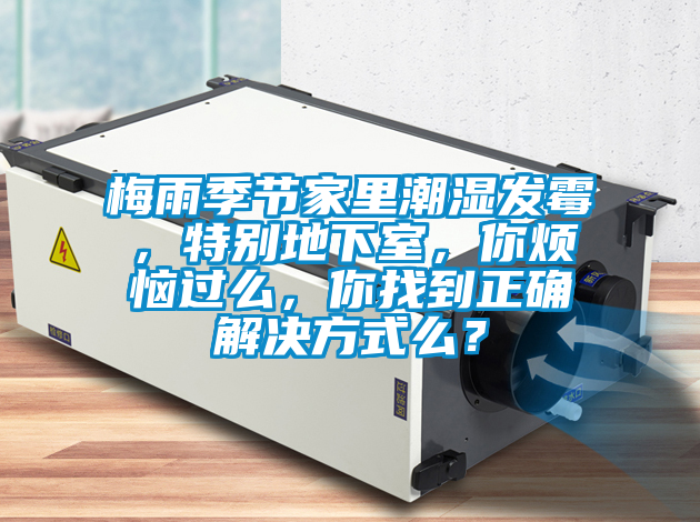 梅雨季節家裏潮濕發黴，特別地下室，你煩惱過麽，你找到正確解決方式麽？