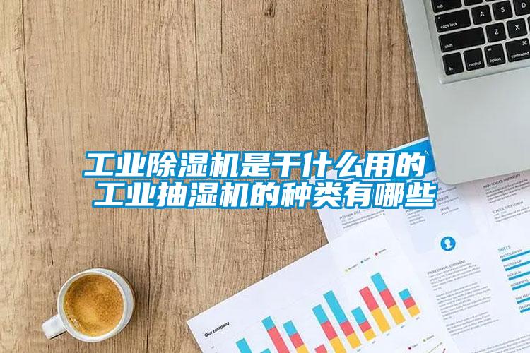 工業草莓视频下载网址是幹什麽用的 工業抽濕機的種類有哪些