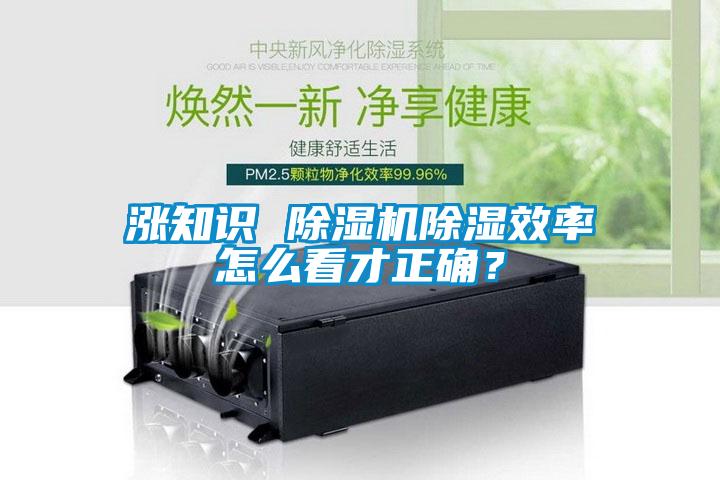 漲知識 草莓视频下载网址除濕效率怎麽看才正確？