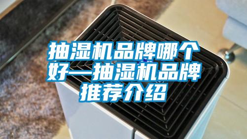 抽濕機品牌哪個好—抽濕機品牌推薦介紹