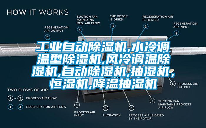 工業自動草莓视频下载网址,水冷調溫型草莓视频下载网址,風冷調溫草莓视频下载网址,自動草莓视频下载网址,抽濕機，恒濕機,降溫抽濕機