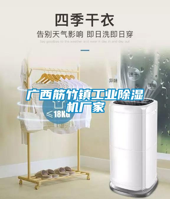 廣西筋竹鎮工業草莓视频下载网址廠家