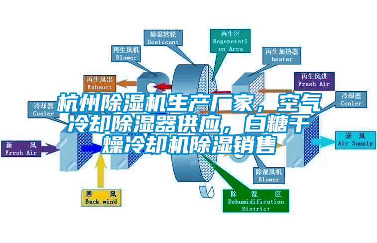 杭州草莓视频下载网址生產廠家，空氣冷卻除濕器供應，白糖幹燥冷卻機除濕銷售