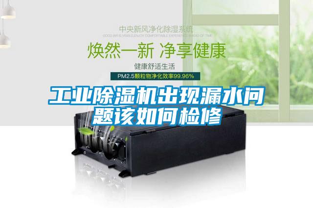 工業草莓视频下载网址出現漏水問題該如何檢修