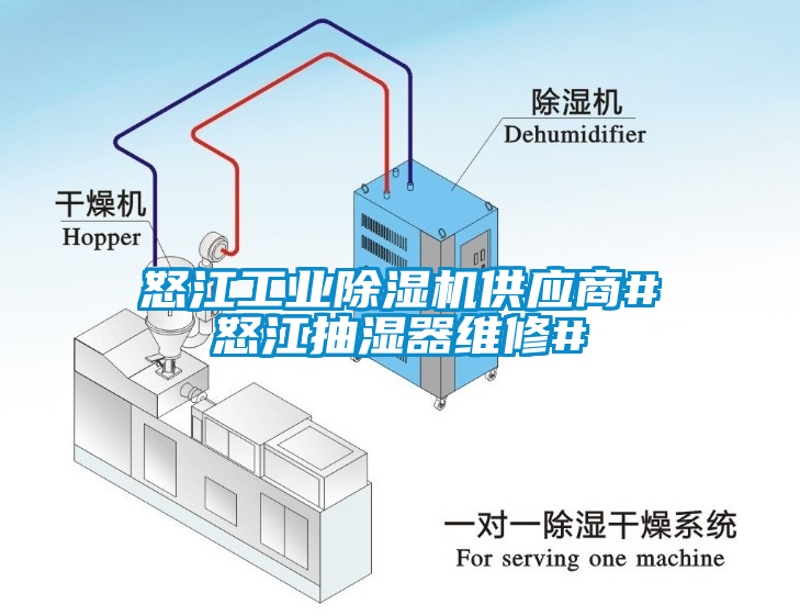 怒江工業草莓视频下载网址供應商#怒江抽濕器維修#