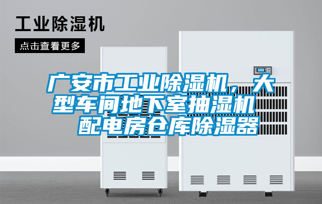 廣安市工業草莓视频下载网址，大型車間地下室抽濕機  配電房倉庫除濕器