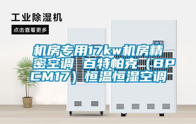 機房專用17kw機房精密空調 百特帕克（BPCM17）恒溫恒濕空調