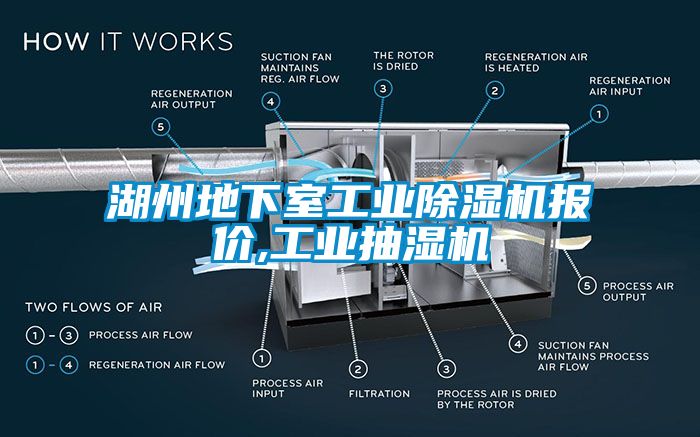 湖州地下室工業草莓视频下载网址報價,工業抽濕機