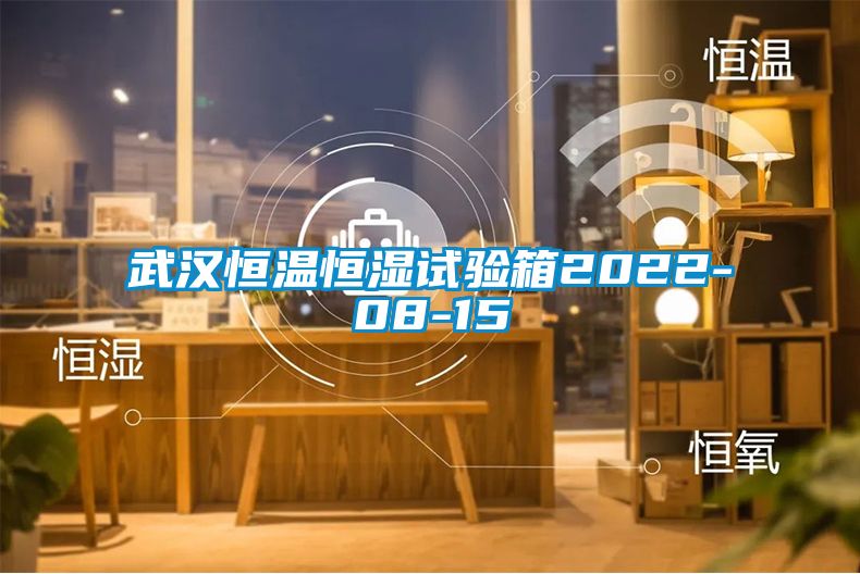 武漢恒溫恒濕試驗箱2022-08-15