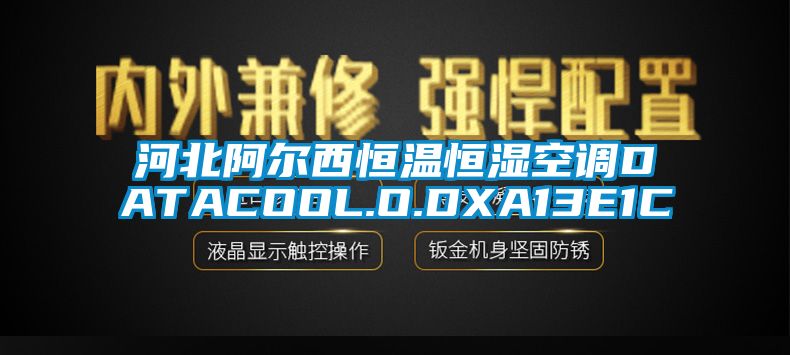 河北阿爾西恒溫恒濕空調DATACOOL.O.DXA13E1C