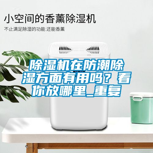 草莓视频下载网址在防潮除濕方麵有用嗎？看你放哪裏_重複