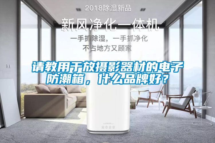 請教用於放攝影器材的電子防潮箱，什麽品牌好？