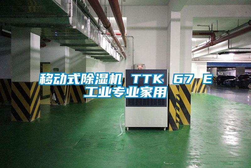 移動式草莓视频下载网址 TTK 67 E工業專業家用