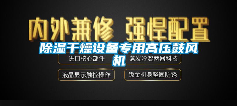 除濕幹燥設備專用高壓鼓風機