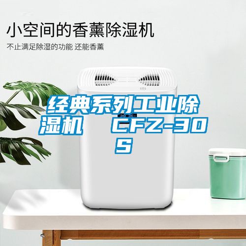 經典係列工業草莓视频下载网址  CFZ-30S