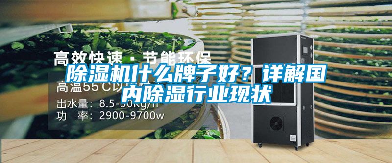 草莓视频下载网址什麽牌子好？詳解國內除濕行業現狀