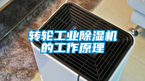 轉輪工業草莓视频下载网址的工作原理