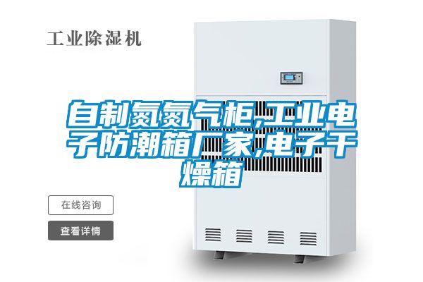 自製氮氮氣櫃,工業電子防潮箱廠家,電子幹燥箱