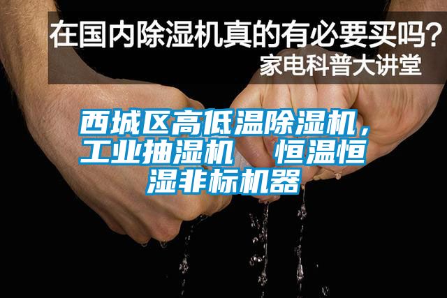 西城區高低溫草莓视频下载网址，工業抽濕機  恒溫恒濕非標機器