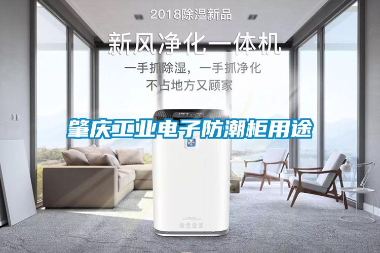 肇慶工業電子防潮櫃用途