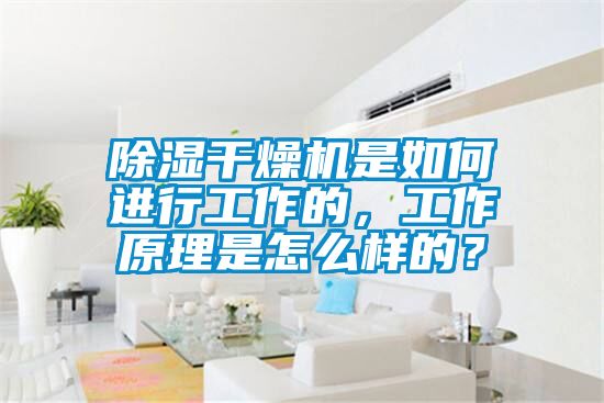 除濕幹燥機是如何進行工作的，工作原理是怎麽樣的？