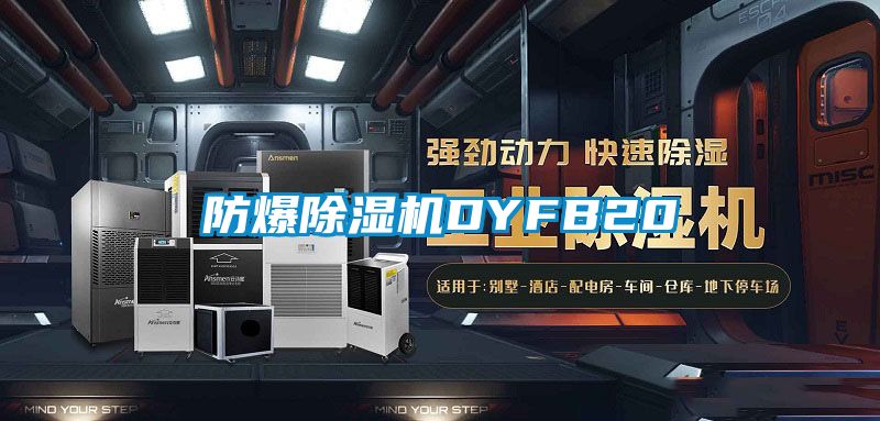 防爆草莓视频下载网址DYFB20