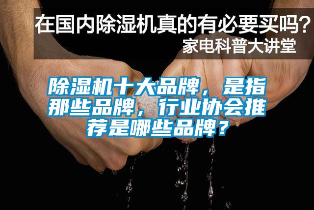 草莓视频下载网址十大品牌，是指那些品牌，行業協會推薦是哪些品牌？