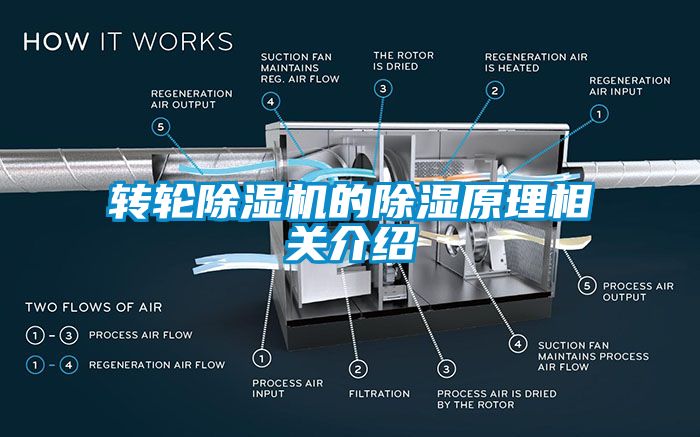 轉輪草莓视频下载网址的除濕原理相關介紹