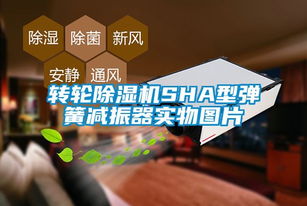 轉輪草莓视频下载网址SHA型彈簧減振器實物圖片